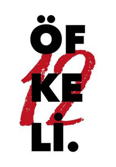 12 Öfkeli
