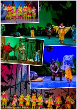 2016-10-02 11:00:00 Aliş & Maviş 