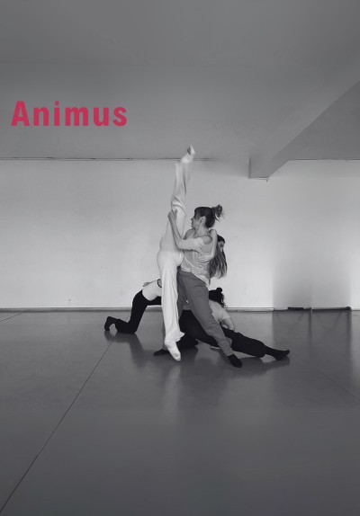 Animus