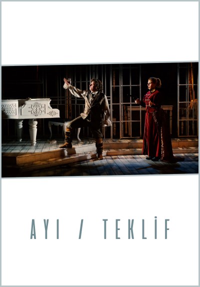 Ayı / Teklif