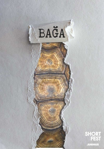 Bağa