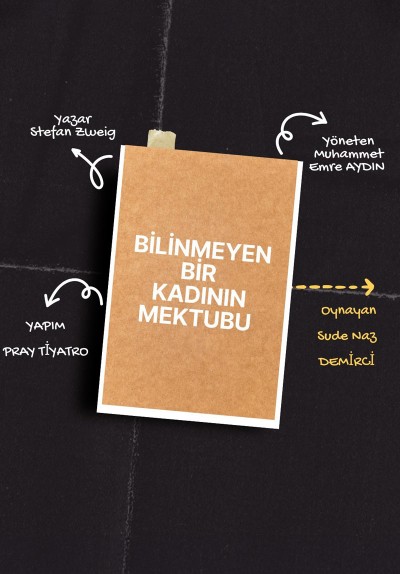 Bilinmeyen Bir Kadının Mektubu