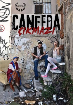 Canfeda Çıkmazı