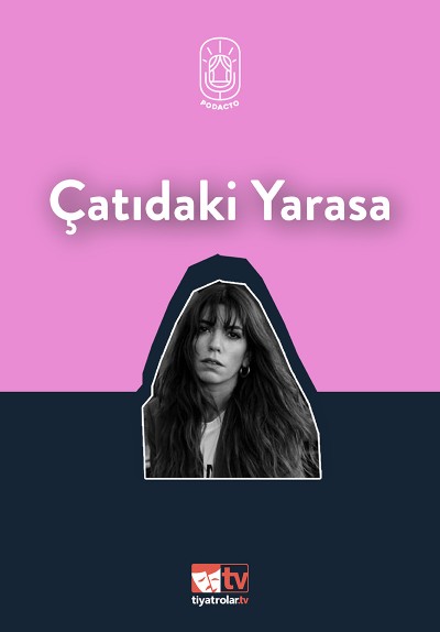 Çatıdaki Yarasa