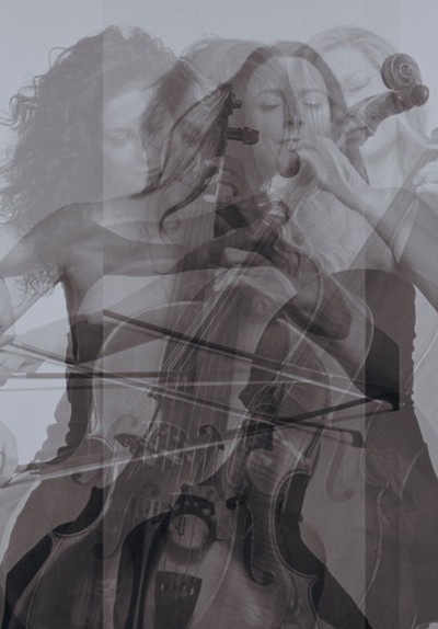 Cello Paradiso