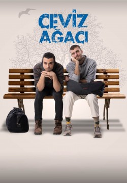 Ceviz Ağacı