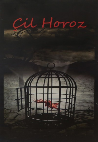 Çil Horoz
