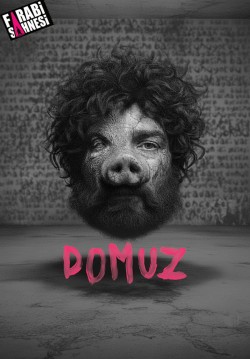 2025-11-15 20:00:00 Domuz 
