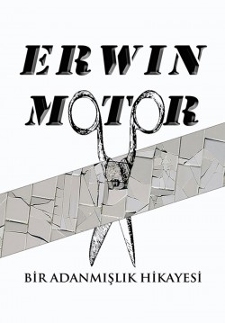 Erwin Motor