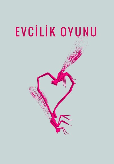 Evcilik Oyunu