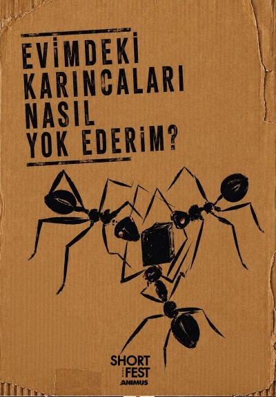 Evimdeki Karıncaları Nasıl Yok Ederim?