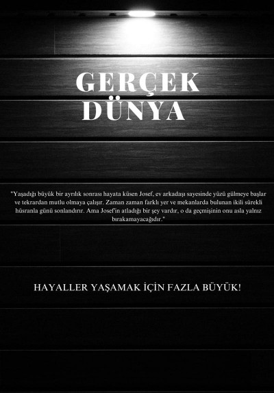 Gerçek Dünya