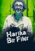 Harika Bir Fikir