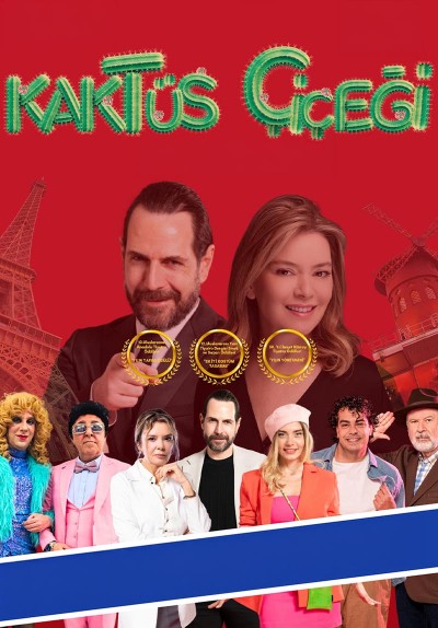 Kaktüs Çiçeği
