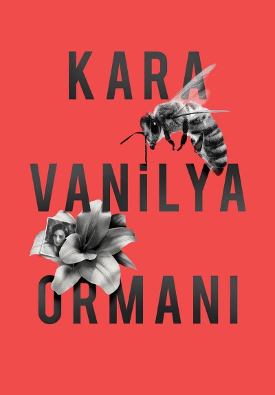 Kara Vanilya Ormanı
