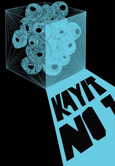 Kayıt No: 1