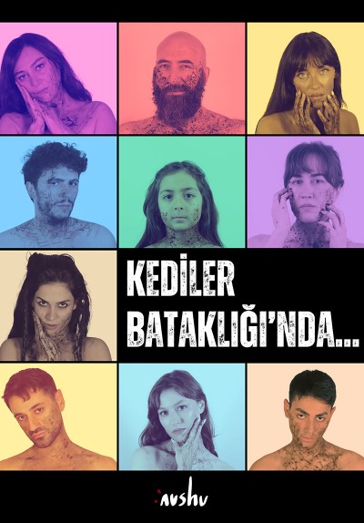 Kediler Bataklığı'nda...