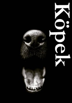 2018-10-31 20:30:00 Köpek 