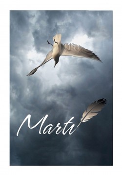 2018-01-04 20:30:00 Martı 