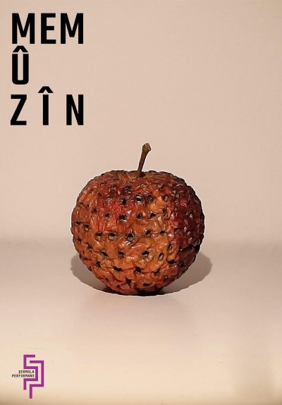 Mem û Zîn