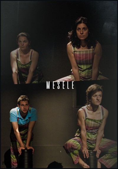 Mesele