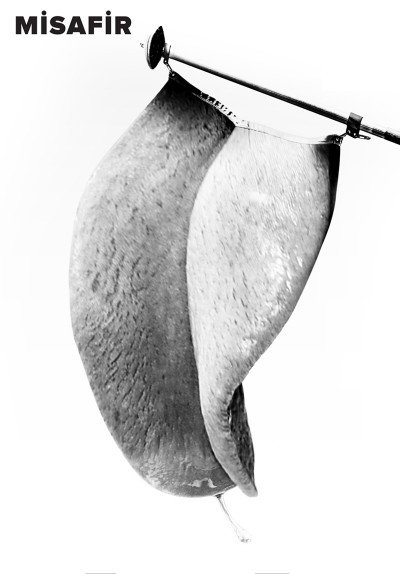 Misafir