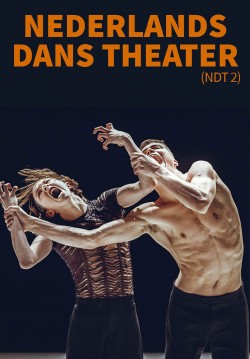 2026-11-27 20:30:00 Nederlands Dans Theater (NDT 2) 