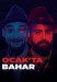 Ocak'ta Bahar