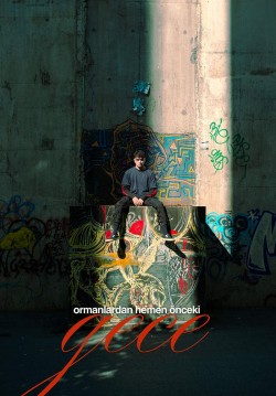 Ormanlardan Hemen Önceki Gece