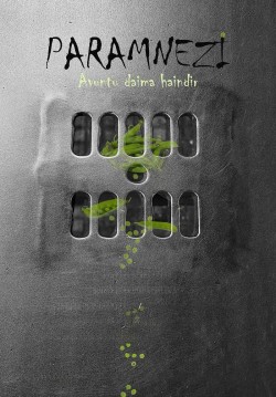 Paramnezi