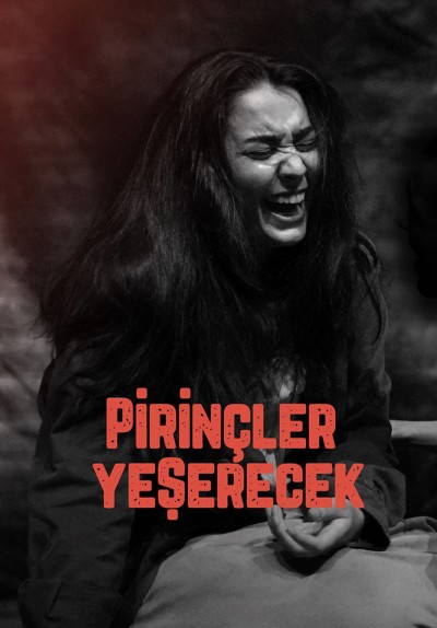 Pirinçler Yeşerecek