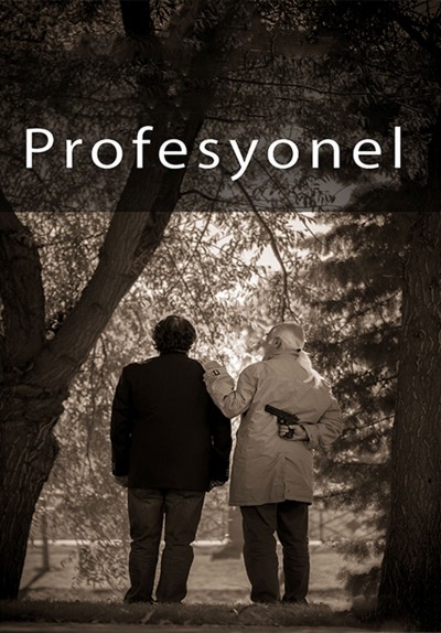 Profesyonel