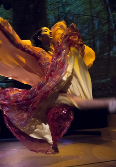 Rhythm of the Dance (Dansın Ritmi)