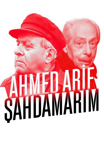 Şahdamarım
