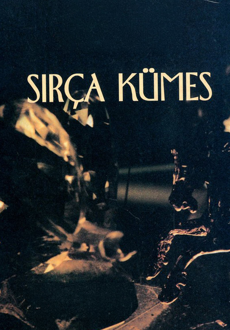 Sırça Kümes 1