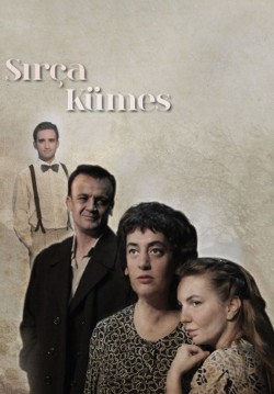 Sırça Kümes