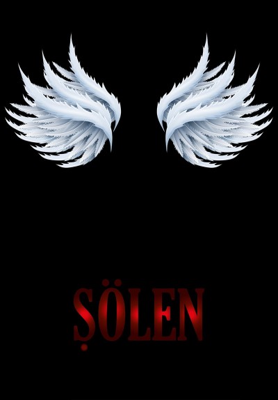 Şölen