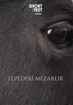 2025-08-23 22:00:00 Tepedeki Mezarlık 