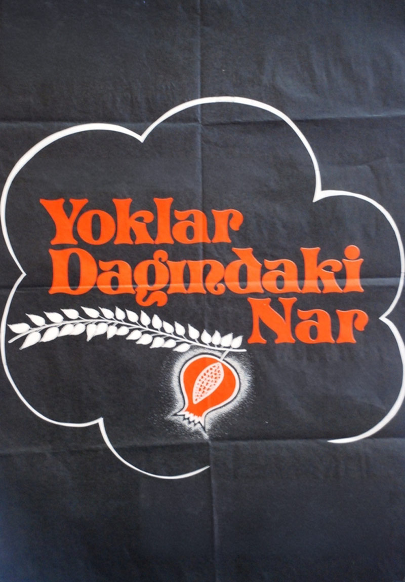 Yoklar Dağındaki Nar 1
