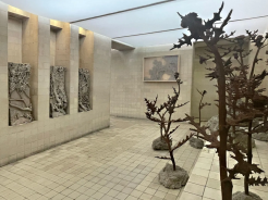 Diken Üzerinde Egzersizler