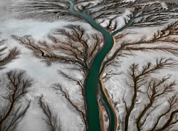 Dönüşen Yeryüzü